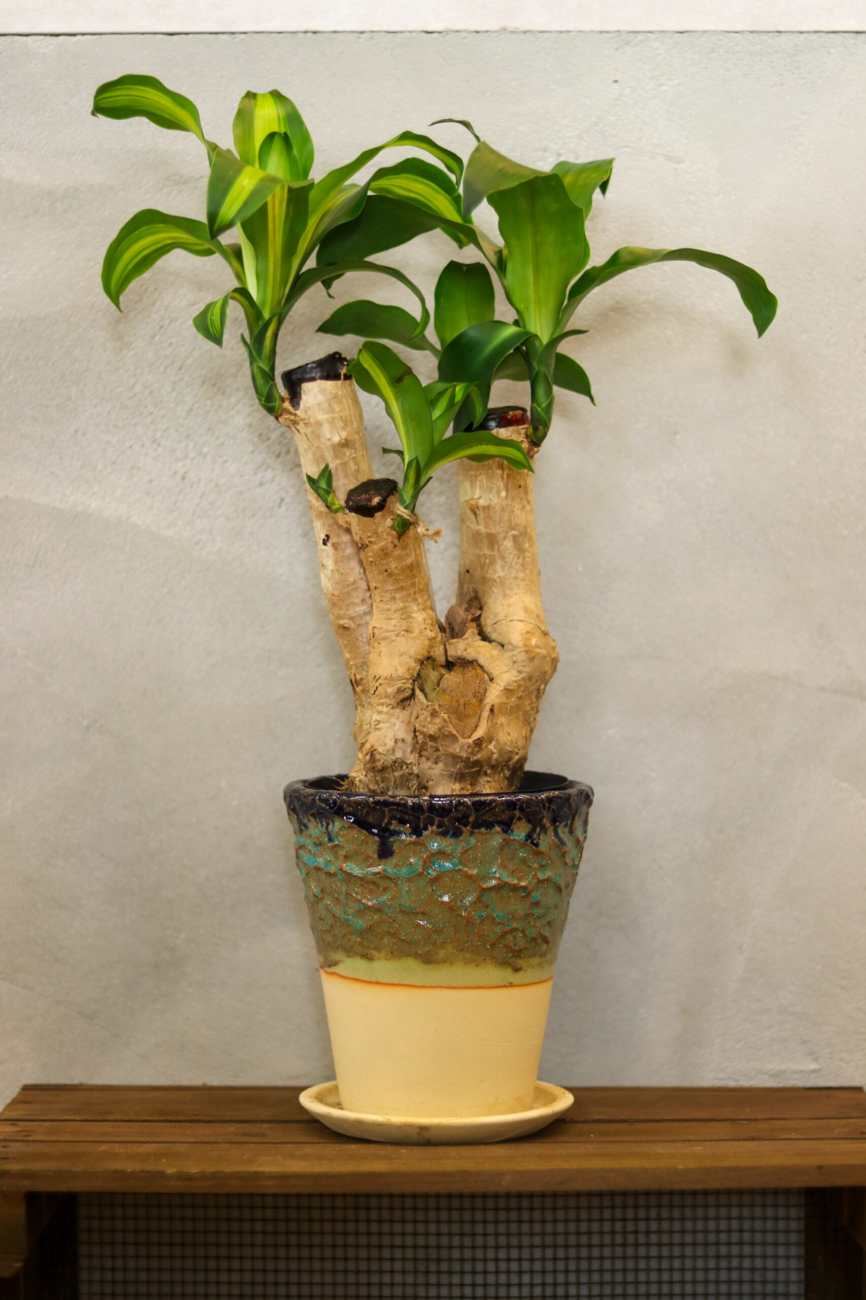 2e2117370c4f8e2fc69b2666690b95